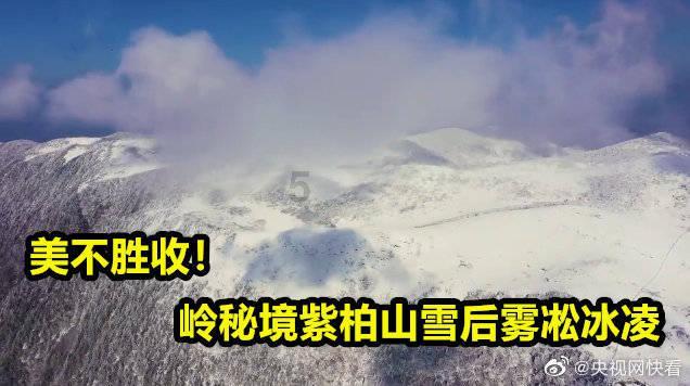 云雾高塔之重生