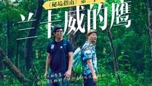 皇牌空战7