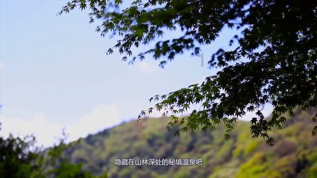 绘制像素图